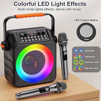 Amazon.com: HWWR Karaoke Machine with 2 Wireless Microphones
